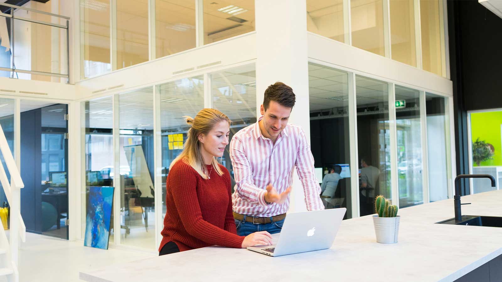 Two colleagues reviewing records together on a laptop in a bright open office