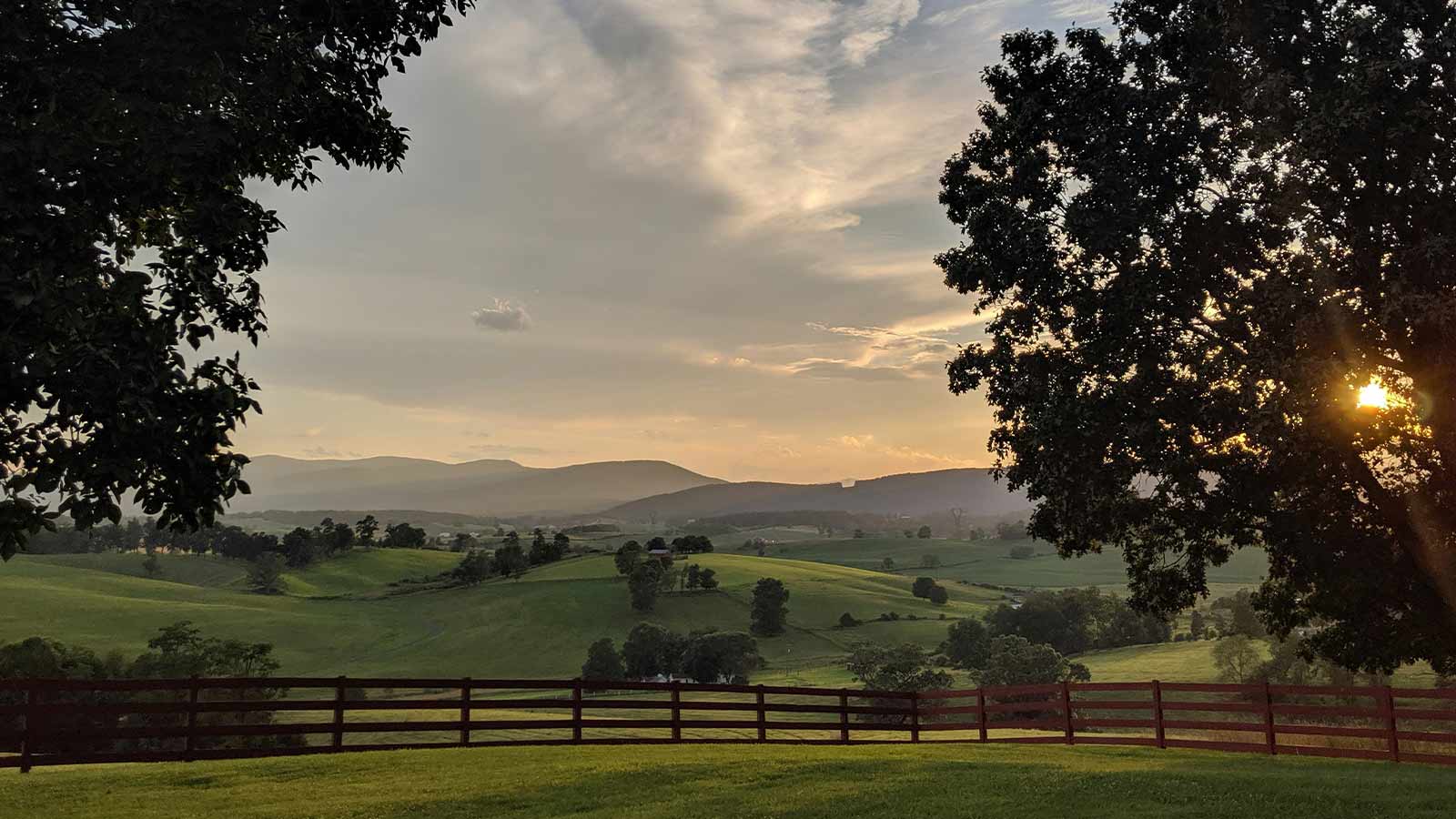 a green field with trees and a fence Virginia Property Title Search