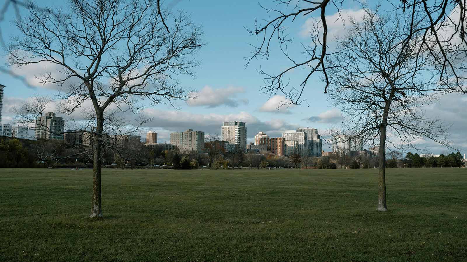 Bare trees in a wide lakefront park with a midsize city skyline rising beyond under a blue sky