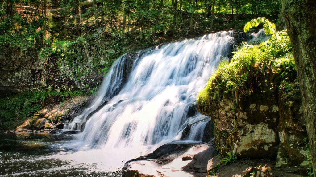 a waterfall in the woods Connecticut Title Search