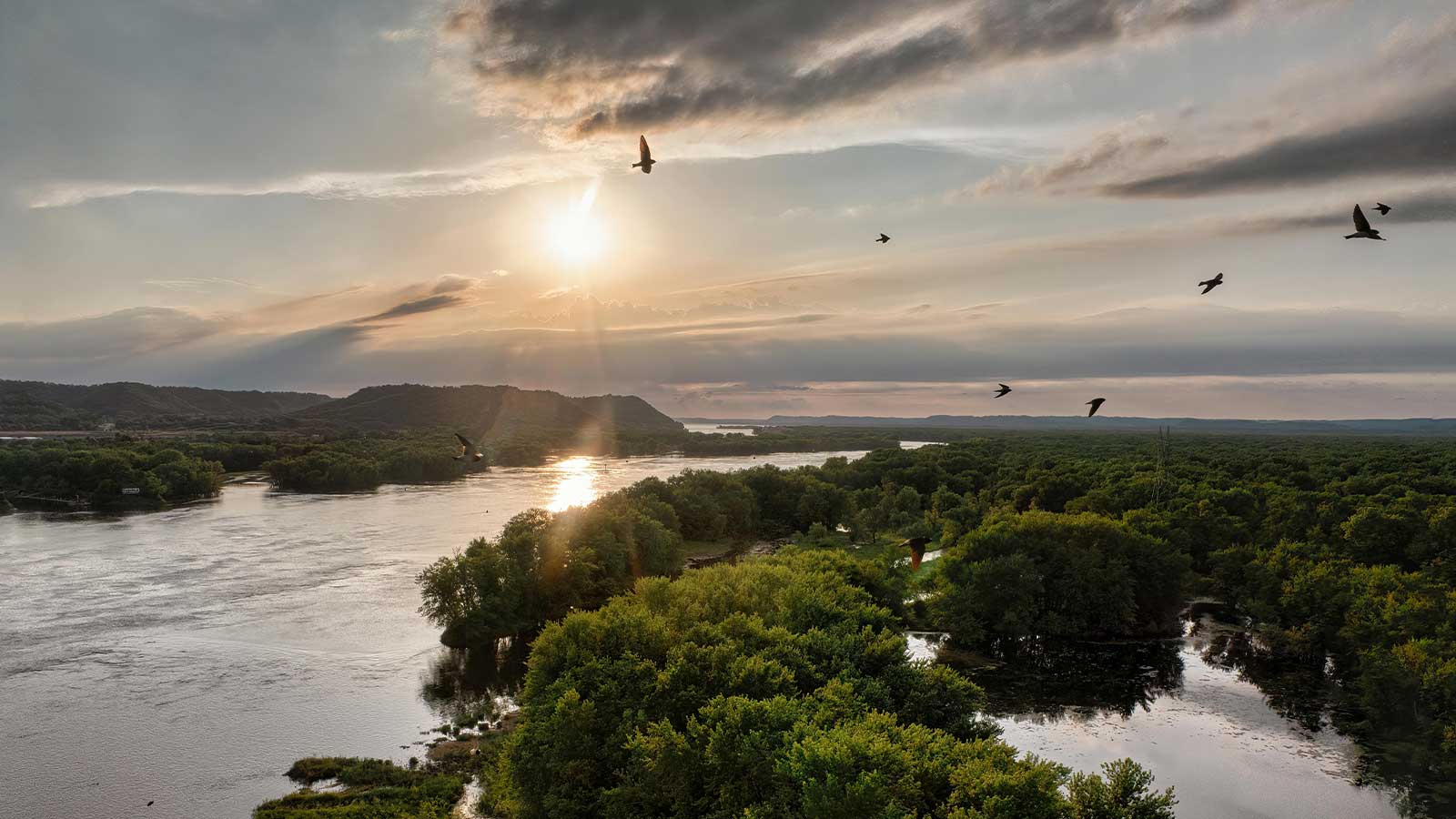 birds flying over a river Mississippi Title Search
