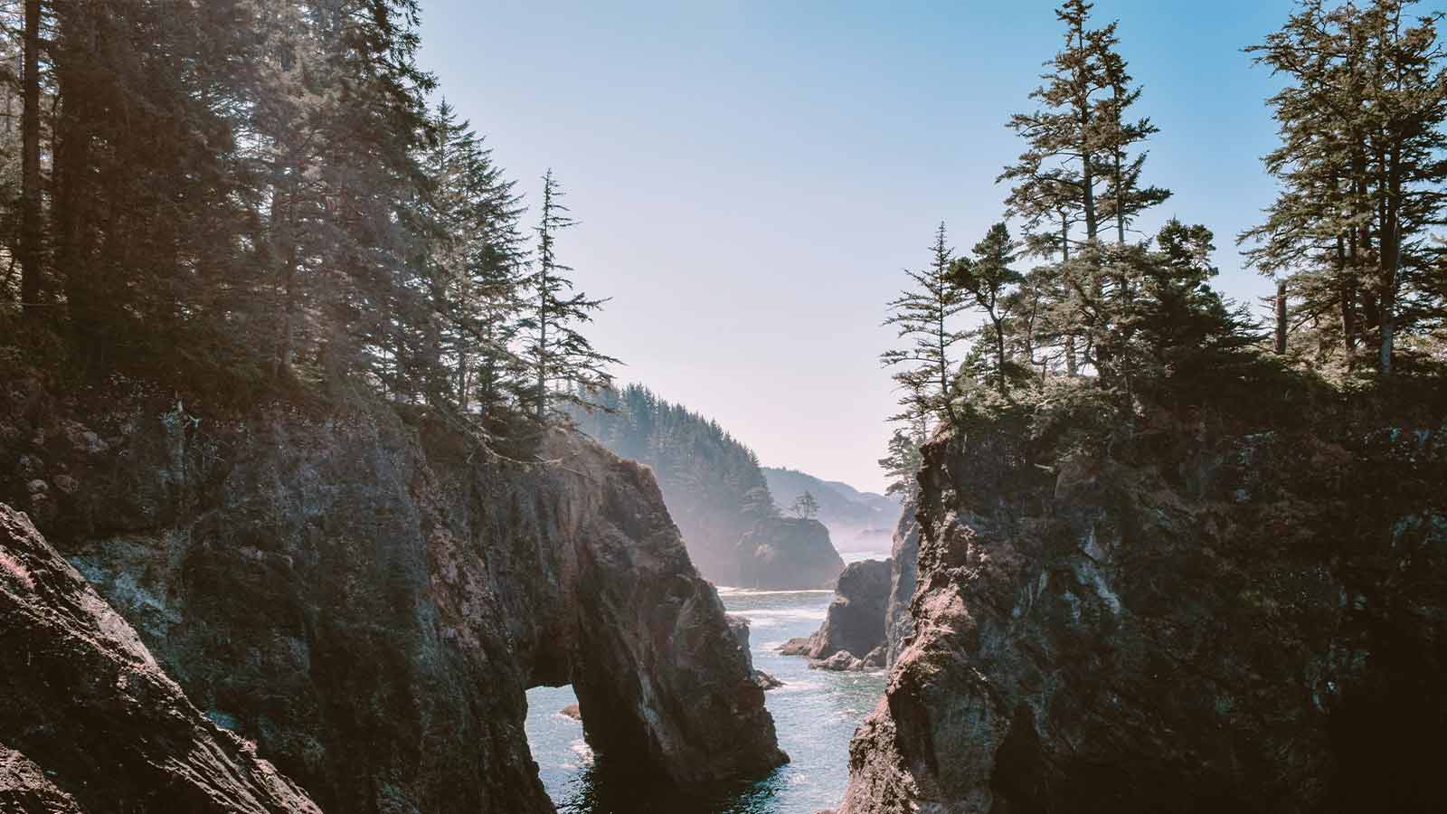 Coastal cliffs with trees and water AI Title Search in Oregon