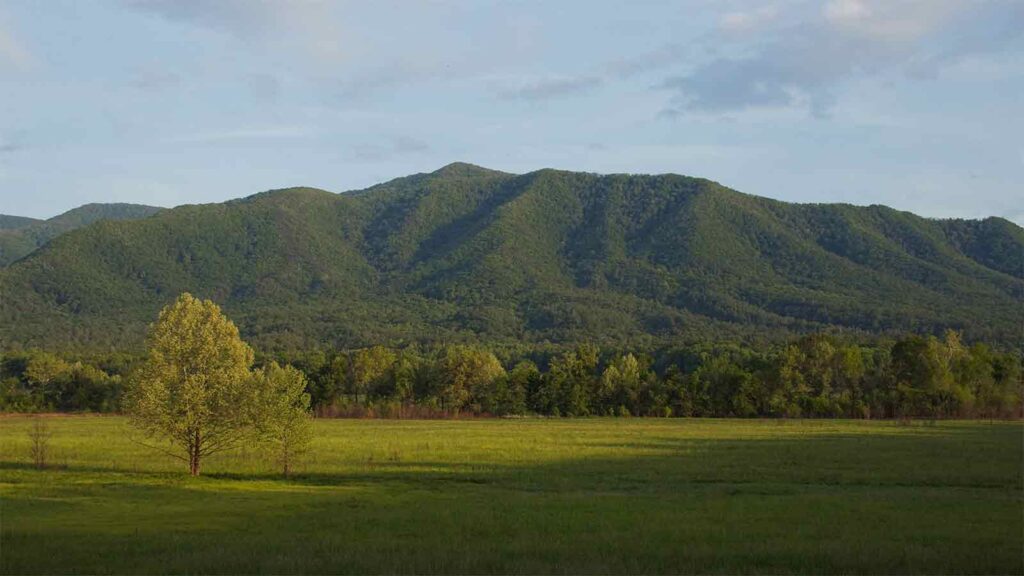 AI-Title-Search-in-Virginia