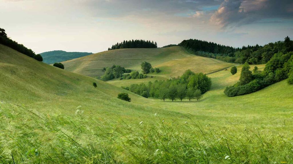 Lush green hills under cloudy sky Lien Search