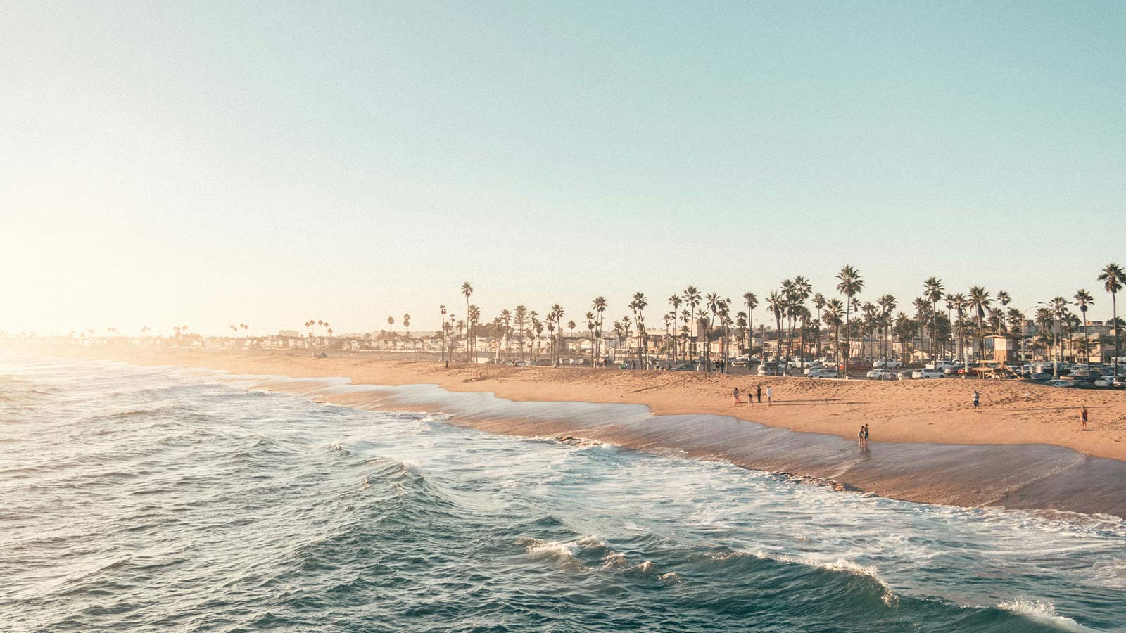 Sunny beach with palm trees AI title search in California