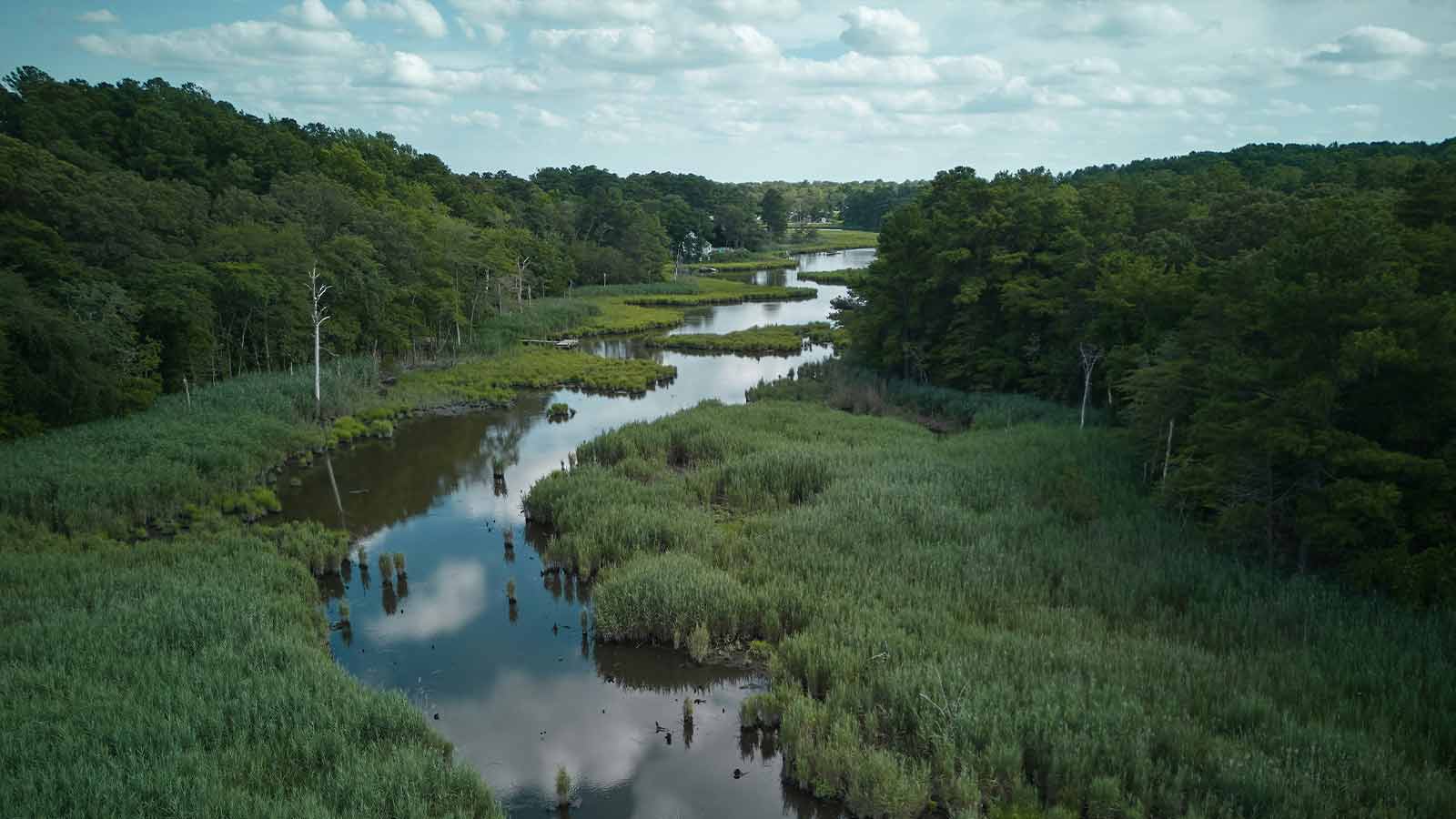 A winding tidal creek through green marsh grass and woodland under a partly cloudy sky