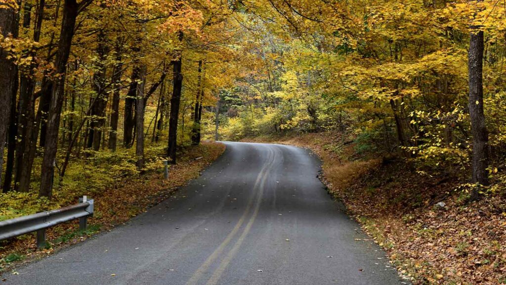 AI Title Search in Maryland