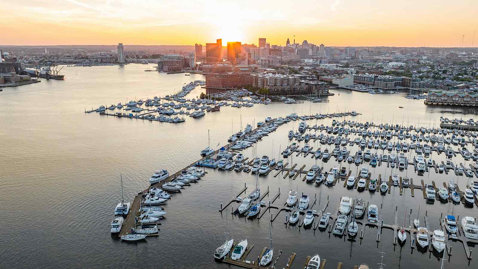 AI Title Search in Maryland