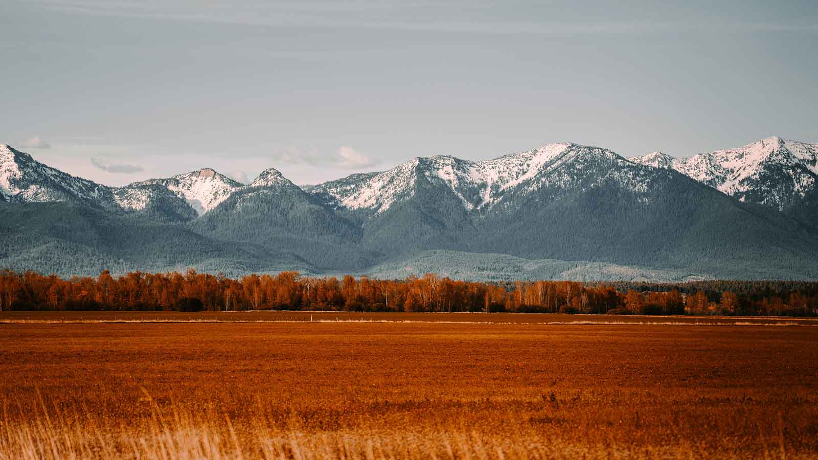 mountain range in montana AI Title Search in Montana