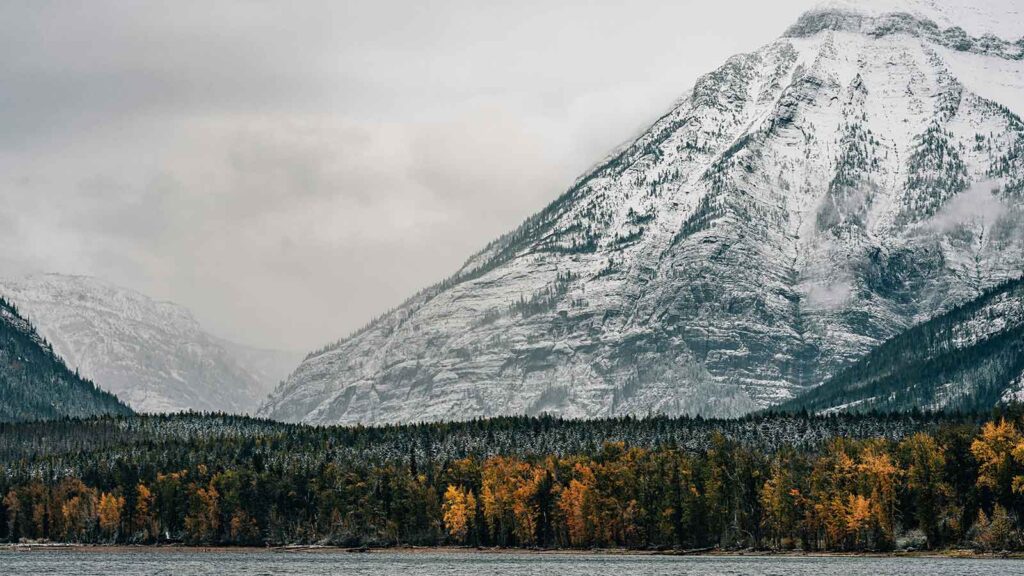 glacier national park AI Title Search in Montana