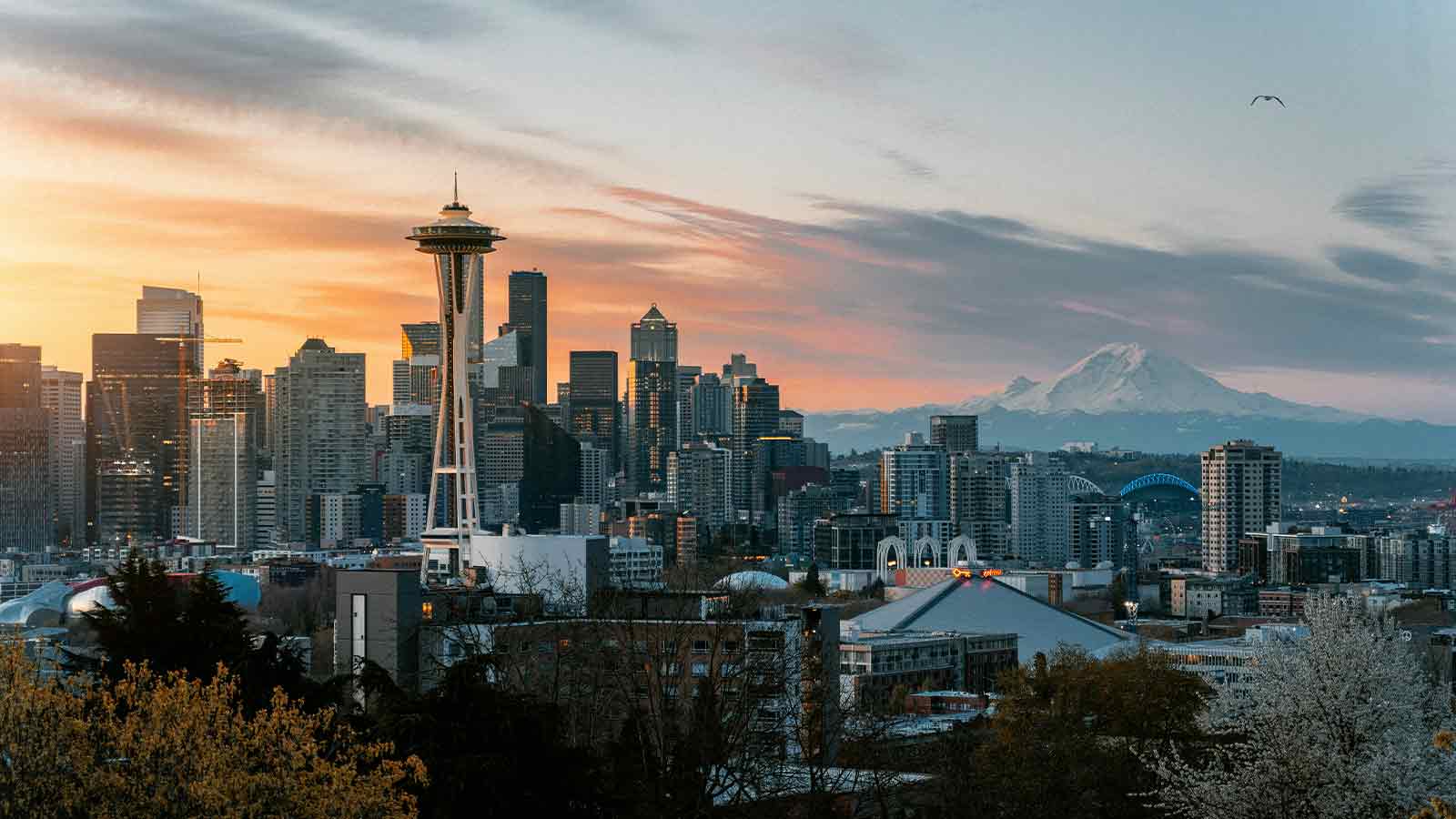 ai-title-search-in-washington seattle