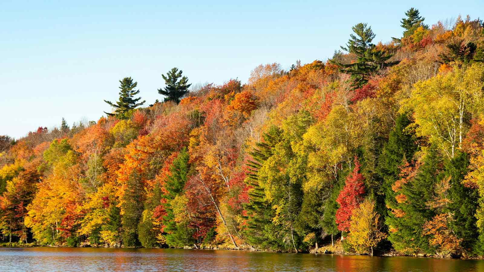 image of AI Title Search in Vermont