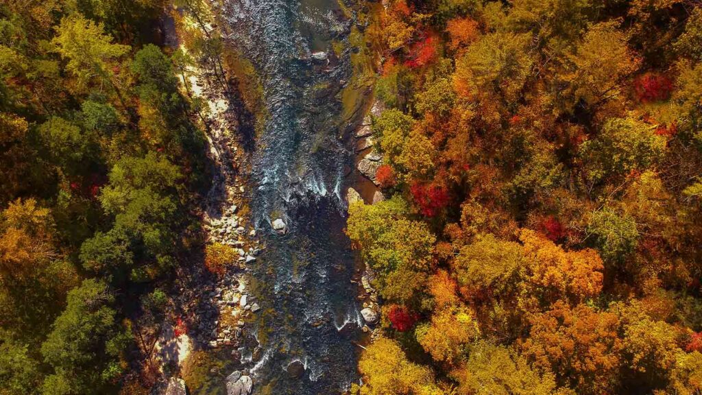 example of AI Title Search in South Carolina