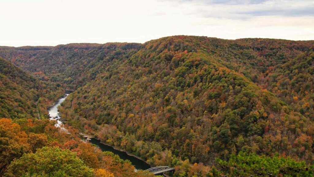 environment AI Title Search in West Virginia