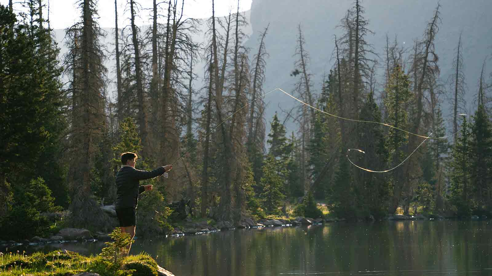 west virginia AI Title Search in West Virginia