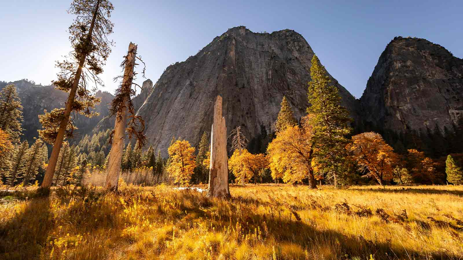 AI Title Search Nationwide