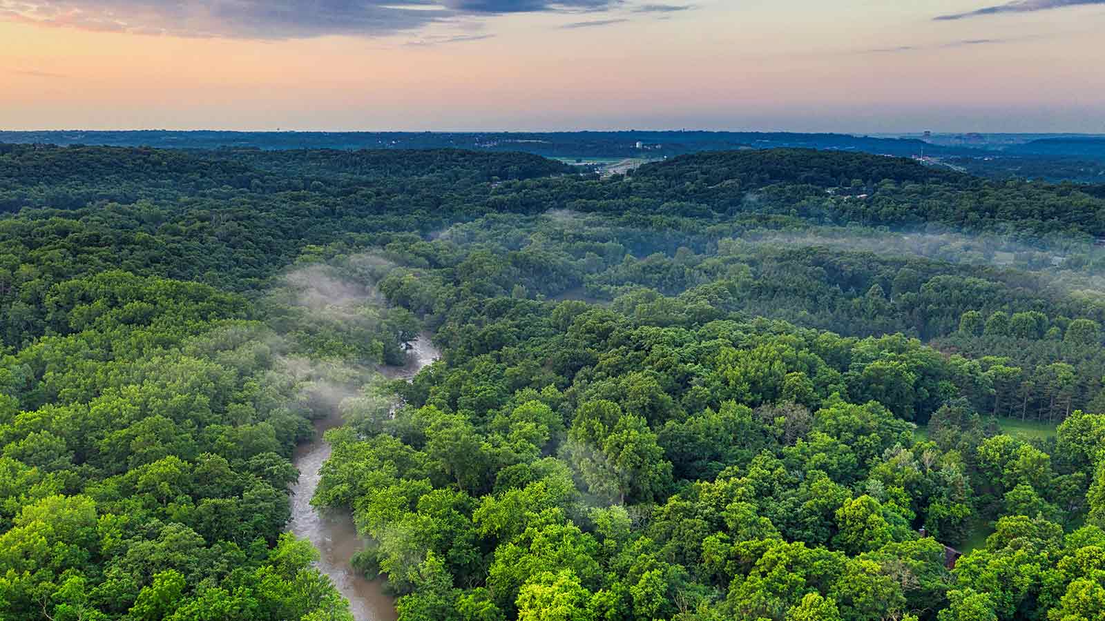 AI Title Search in Minnesota