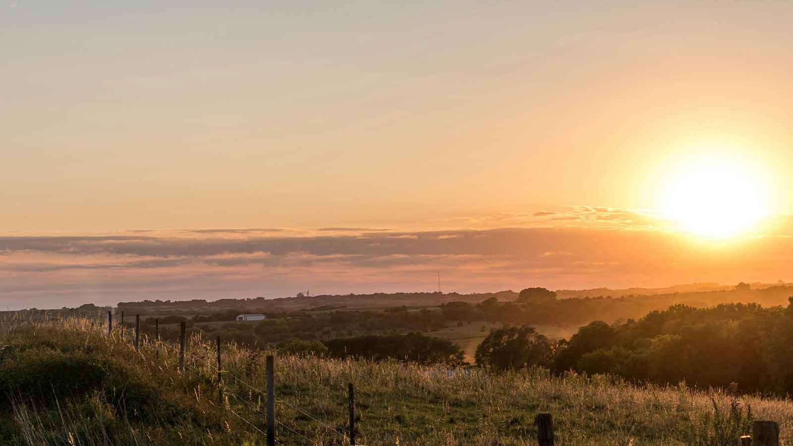 county land AI Title Search in Nebraska