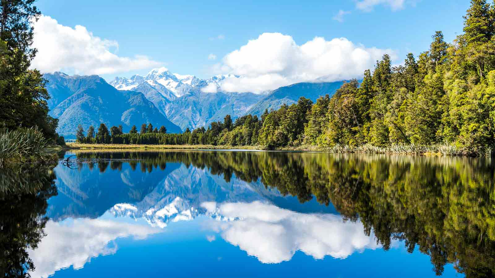 image of abstract in JSON