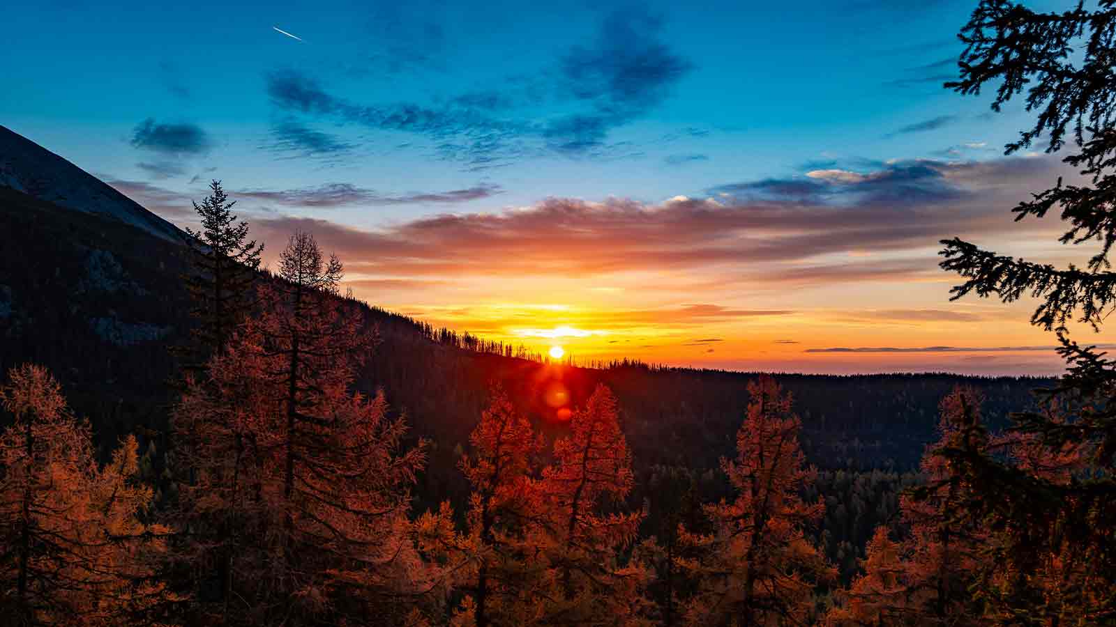 title reports title data lien litigation tax lien quiet title actions title work legal work title research the title report legal position