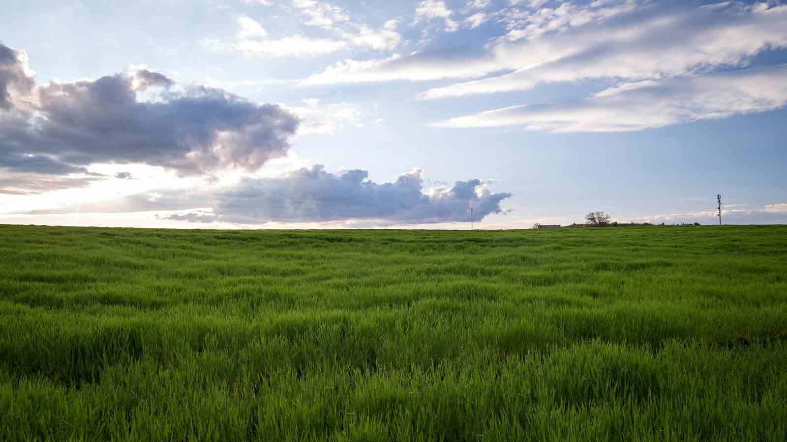 title risk example of a field