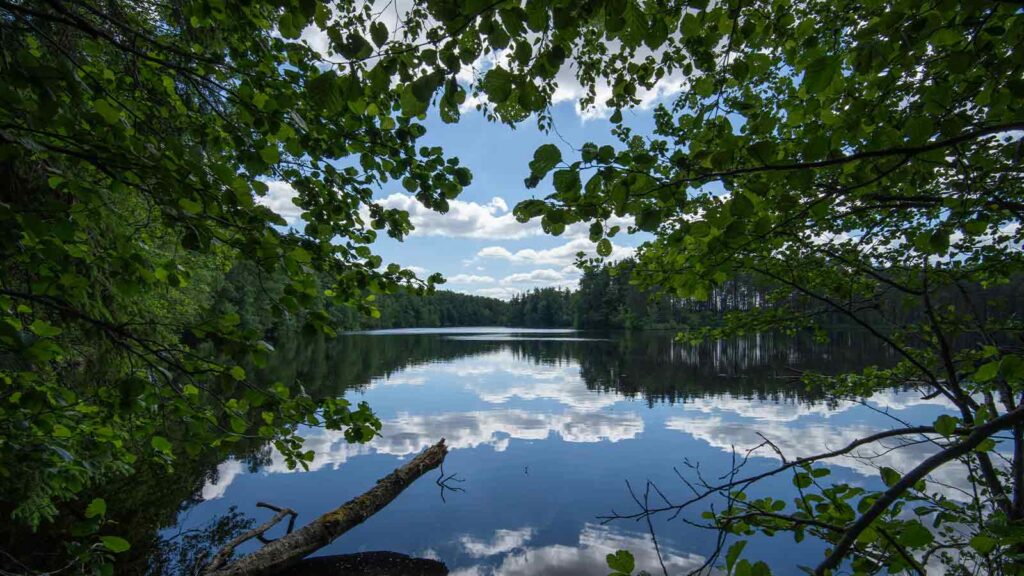 property in arkansas lake