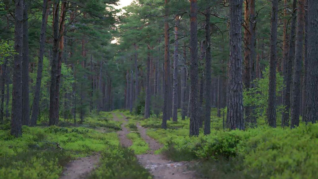 property example of Houses for Sale