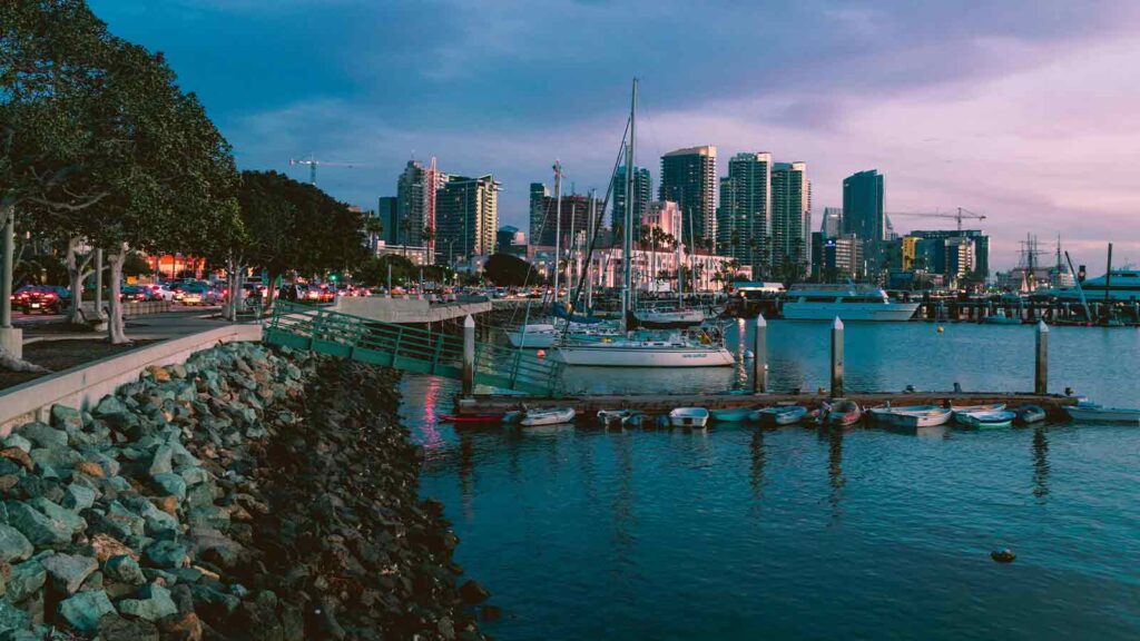 Owner Details in san diego