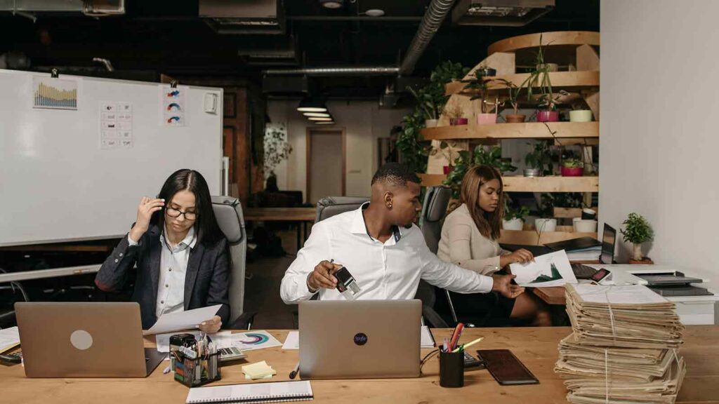 people looking up Owner Details