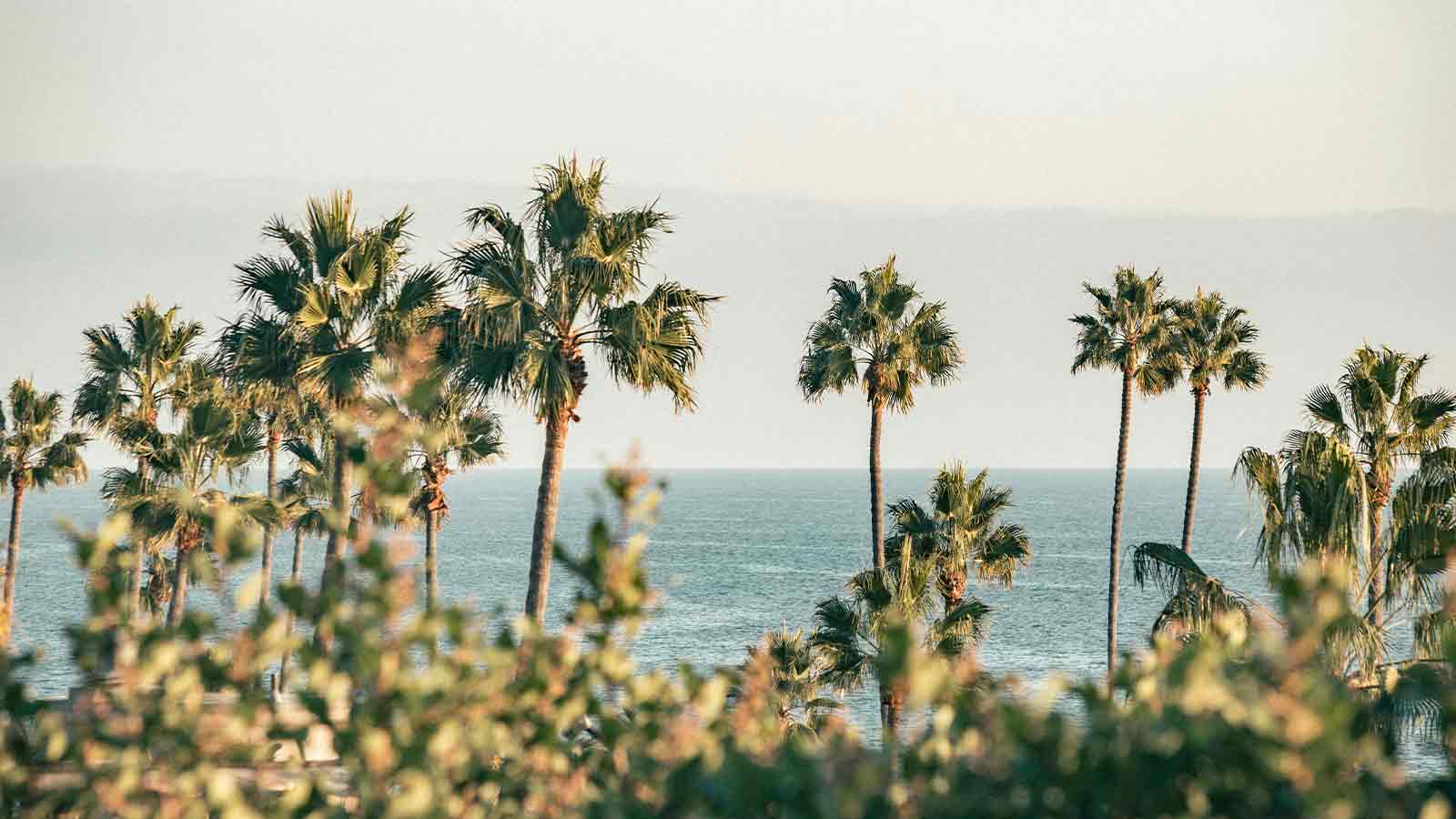 Escrow Companies in california palm. tree